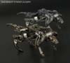 Transformers Generations Ravage - Image #59 of 64