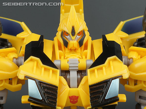 Hunter Bumblebee