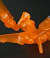 Transformers Go! Shou - Image #73 of 96