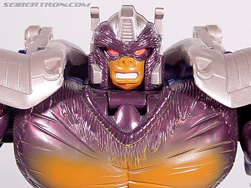Optimus Primal