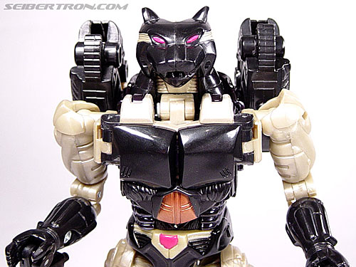 Transformers News: Top 5 Ravage Transformers Toys