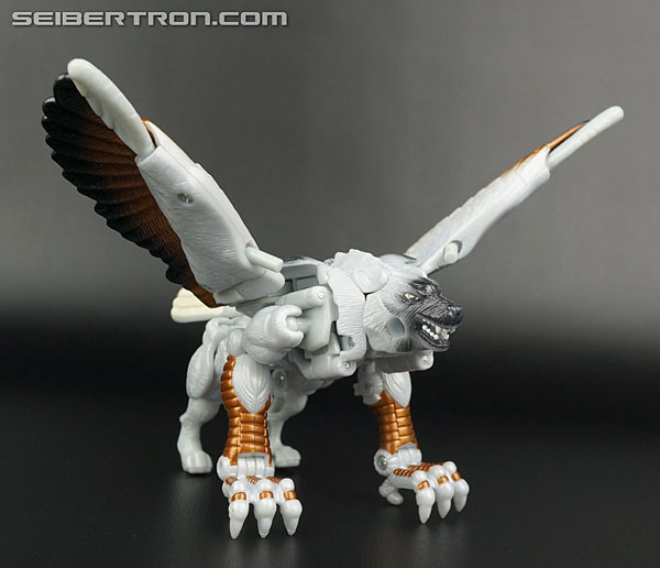Transformers News: New Galleries: Takara Beast Wars Metals VS-41 Silverbolt and Rampage Transformers News: New Galleries: Takara Beast Wars Metals VS-41 Silverbolt and Rampage