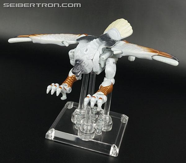 Transformers News: New Galleries: Takara Beast Wars Metals VS-41 Silverbolt and Rampage Transformers News: New Galleries: Takara Beast Wars Metals VS-41 Silverbolt and Rampage