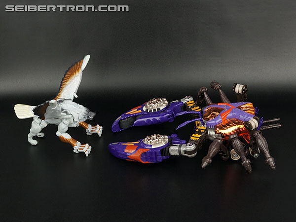 Transformers Beast Wars Metals Silverbolt (Image #51 of 149)