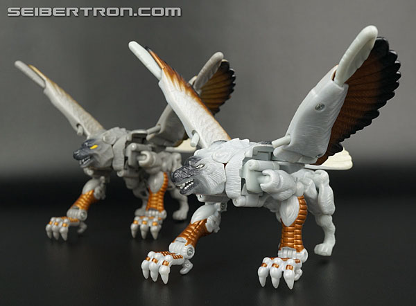 Transformers News: New Galleries: Takara Beast Wars Metals VS-41 Silverbolt and Rampage Transformers News: New Galleries: Takara Beast Wars Metals VS-41 Silverbolt and Rampage