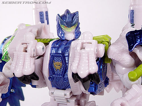 Transformers News: Top 5 Beast Era Characters we Want to See in the Transformers Generations Toyline