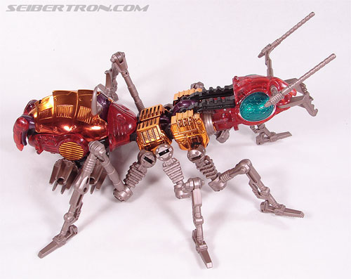 Transformers News: Top 5 Best Insect Transformers Toys Transformers News: Top 5 Best Insect Transformers Toys