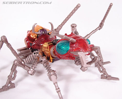 Transformers News: Top 5 Best Insect Transformers Toys Transformers News: Top 5 Best Insect Transformers Toys