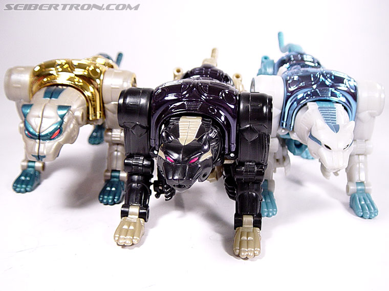 Transformers Beast Wars Metals Ravage (Jaguar) (Image #25 of 112)