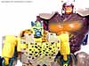 Beast Wars Metals Cheetor - Image #67 of 96