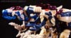 Beast Wars Metals Dinobot 2 - Image #23 of 90