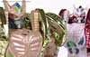 Beast Wars Metals Ramulus - Image #106 of 158