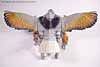 Beast Wars Metals Silverbolt - Image #9 of 56