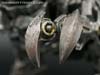 Kids Logic Grimlock - Image #69 of 115