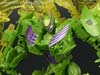Age of Extinction: Generations Snarl - Image #84 of 134