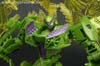 Age of Extinction: Generations Snarl - Image #87 of 134