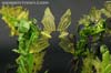 Age of Extinction: Generations Snarl - Image #118 of 134