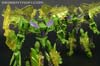 Age of Extinction: Generations Snarl - Image #124 of 134