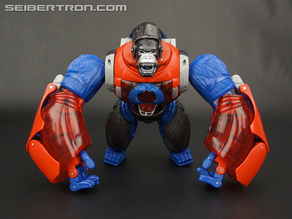 Transformers News: Steal of a Deal: Platinum Edition Year of the Monkey Optimus Primal for $50.21 at Amazon.com Transformers News: Steal of a Deal: Platinum Edition Year of the Monkey Optimus Primal for $50.21 at Amazon.com