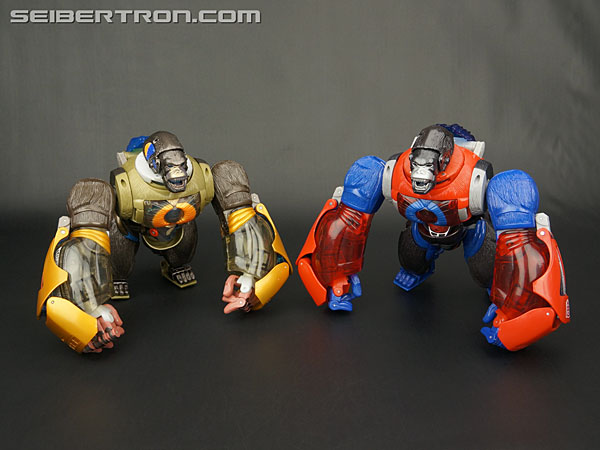 Transformers News: New Gallery: Transformers Platinum Edition Year of the Monkey Optimus Primal