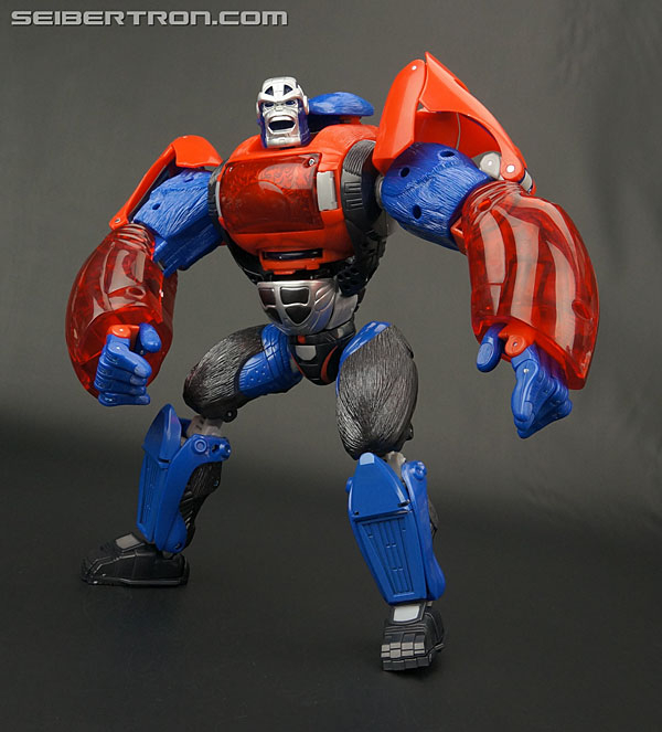 Transformers News: Steal of a Deal: Platinum Edition Year of the Monkey Optimus Primal for $50.21 at Amazon.com Transformers News: Steal of a Deal: Platinum Edition Year of the Monkey Optimus Primal for $50.21 at Amazon.com