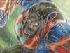 Platinum Edition Year of the Monkey Optimus Primal - Image #3 of 161