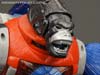 Platinum Edition Year of the Monkey Optimus Primal - Image #36 of 161