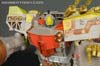 Platinum Edition Year of the Snake Omega Supreme - Image #193 of 274