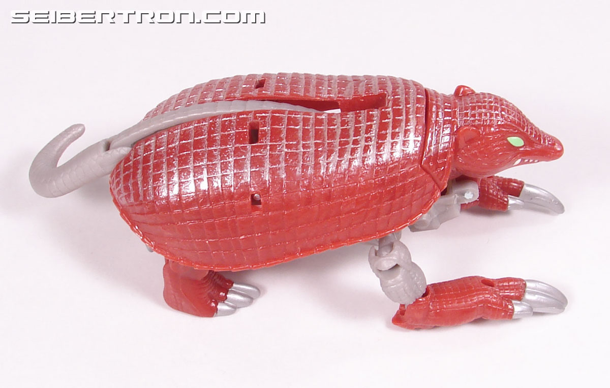 Transformers Beast Wars Neo Bump (Image #19 of 83) Transformers Beast Wars Neo Bump (Image #19 of 83)