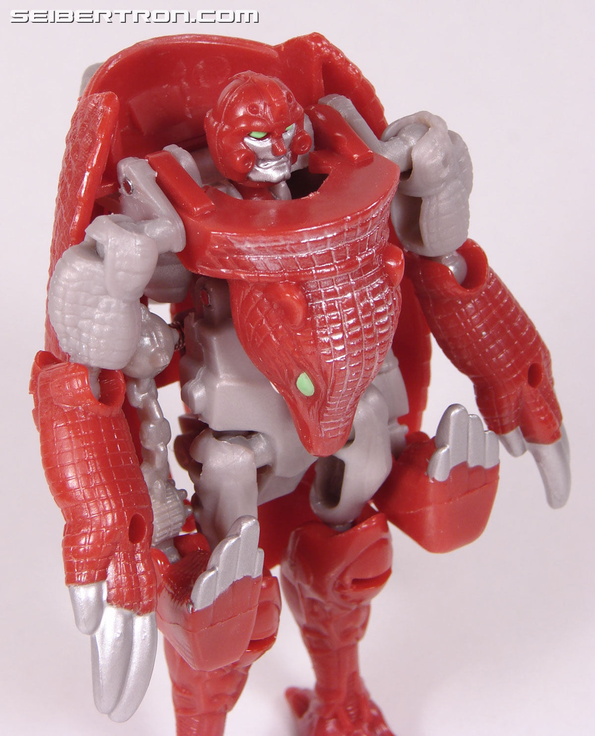 Transformers Beast Wars Neo Bump (Image #40 of 83) Transformers Beast Wars Neo Bump (Image #40 of 83)