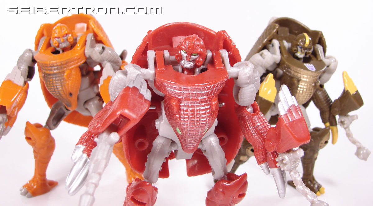 Transformers Beast Wars Neo Bump (Image #76 of 83)