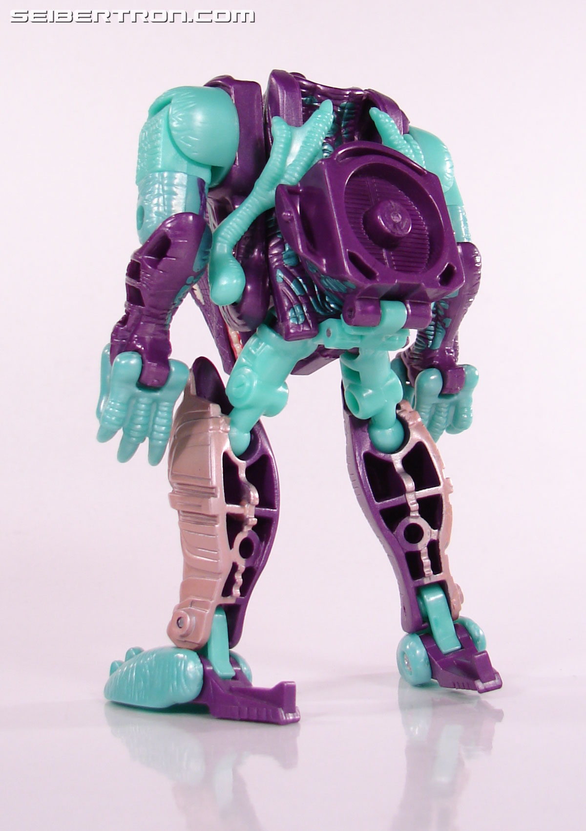 Transformers Beast Wars Neo Hard Head (Image #39 of 60)