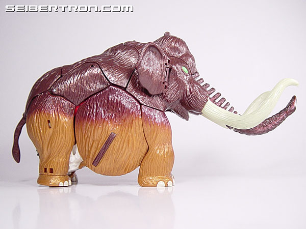 Transformers News: Top 5 Best Shellformers Transformers Toys Transformers News: Top 5 Best Shellformers Transformers Toys