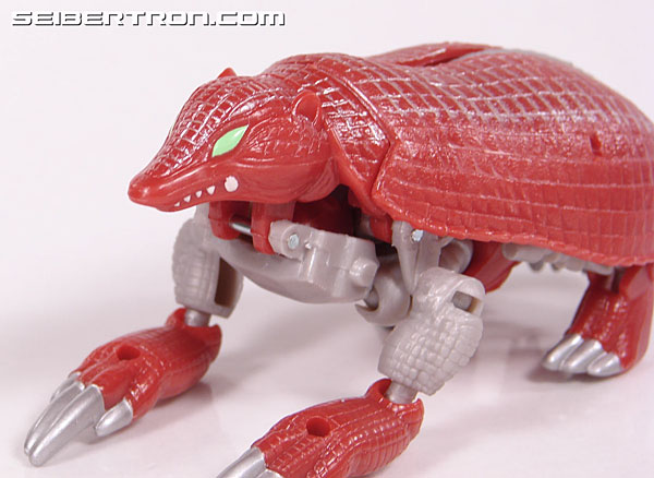 Transformers Beast Wars Neo Bump (Image #27 of 83)