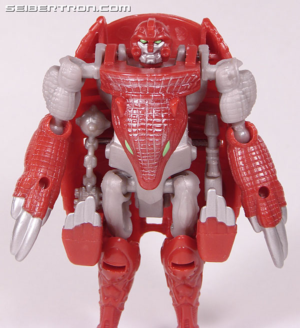 Transformers Beast Wars Neo Bump (Image #38 of 83)