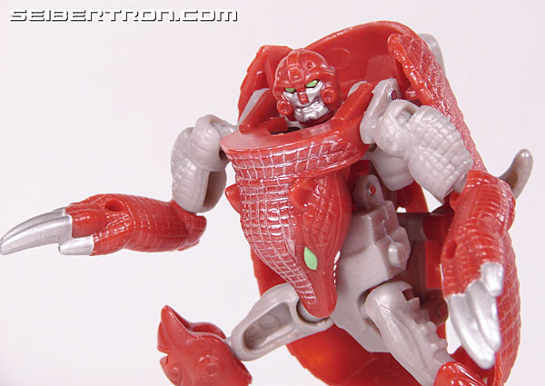Transformers Beast Wars Neo Bump (Image #72 of 83)