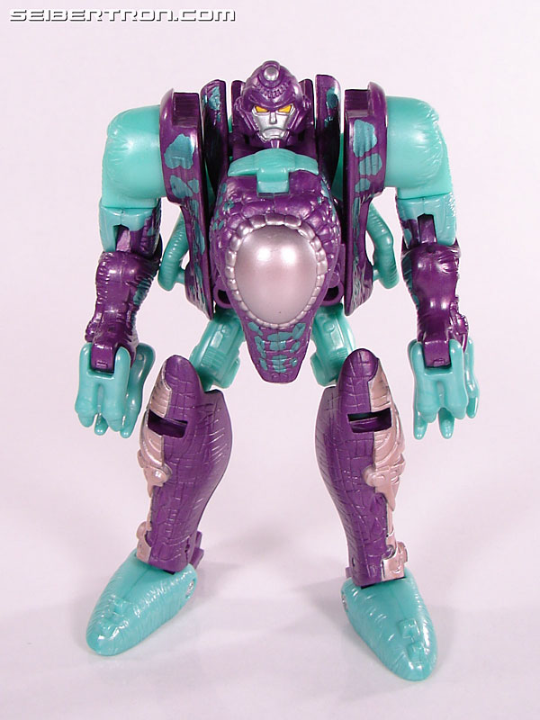 Transformers Beast Wars Neo Hard Head (Image #34 of 60)