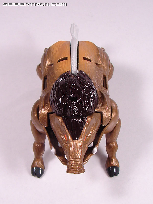 Transformers Beast Wars Neo Randy (Image #13 of 69)