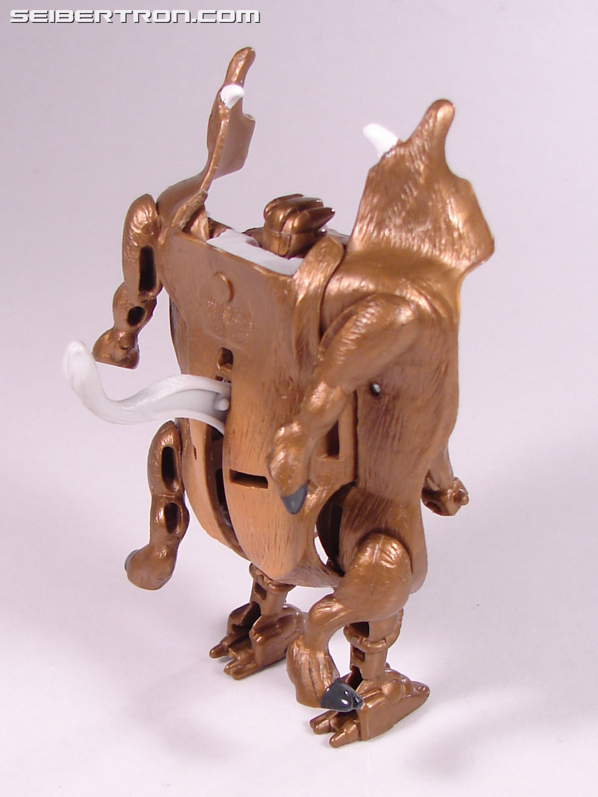 Transformers Beast Wars Neo Randy (Image #41 of 69)