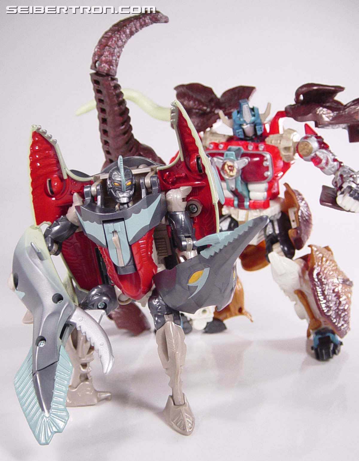 Transformers Beast Wars Neo Sharp Edge (Image #109 of 109)