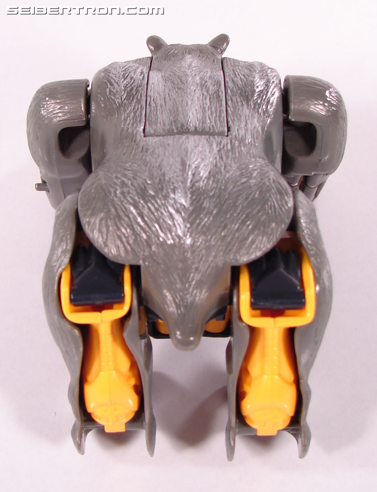 Transformers Beast Wars Neo Survive (Image #22 of 94)