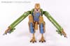 Beast Wars Neo Archadis - Image #7 of 83