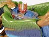 Beast Wars Neo Archadis - Image #73 of 83