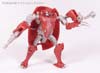 Beast Wars Neo Bump - Image #66 of 83