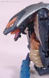Beast Wars Neo Colada, Corahda (Cohrada)  - Image #123 of 124