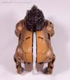 Beast Wars Neo Randy - Image #18 of 69