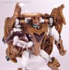 Beast Wars Neo Randy - Image #56 of 69
