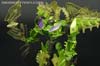Takara Tomy: Movie Advanced Snarl - Image #89 of 154