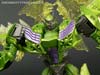 Takara Tomy: Movie Advanced Snarl - Image #125 of 154