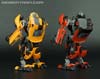 Takara Tomy: Movie Advanced Stinger - Image #164 of 188